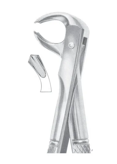 Fig. 73L lower molars left 